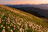 Olympic National Park