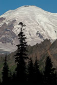 Mt. Rainier National Park